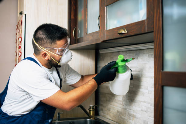Best Commercial Pest Control Services  in Mino Tassajara, CA