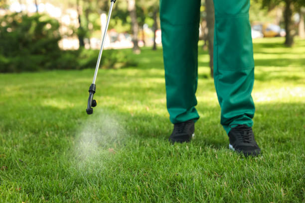 Best Pest Prevention Services  in Mino Tassajara, CA