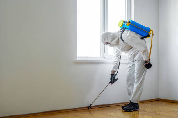 Best Best Pest Control Companies  in Mino Tassajara, CA