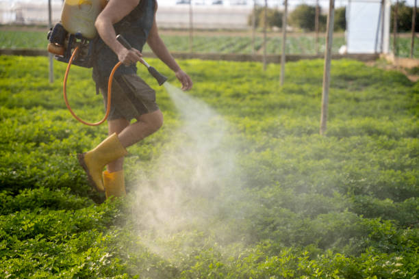 Best Residential Pest Control  in Mino Tassajara, CA