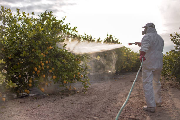 Professional Pest Control in Camino Tassajara, CA