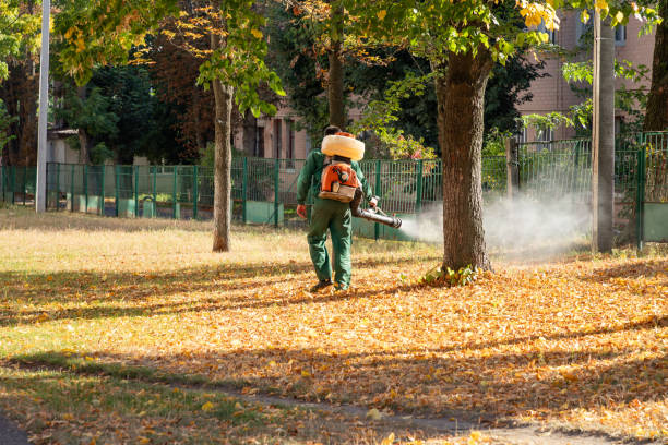 Pest Control for Restaurants in Camino Tassajara, CA
