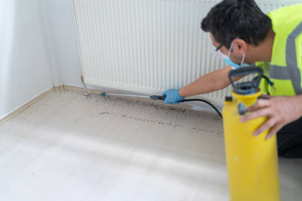 Best Bed Bug Extermination  in Mino Tassajara, CA